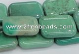 CAB29 15.5 inches 18*25mm rectangle green grass agate gemstone beads