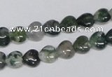 CAB404 15.5 inches 8*8mm heart moss agate gemstone beads wholesale