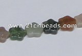 CAB459 15.5 inches 10*10mm star indian agate gemstone beads wholesale