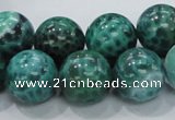 CAB54 15.5 inches 16mm round peafowl agate gemstone beads wholesale