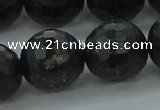 CAE41 15.5 inches 18mm faceted round astrophyllite beads wholesale