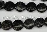 CAE45 15.5 inches 12mm flat round astrophyllite beads wholesale