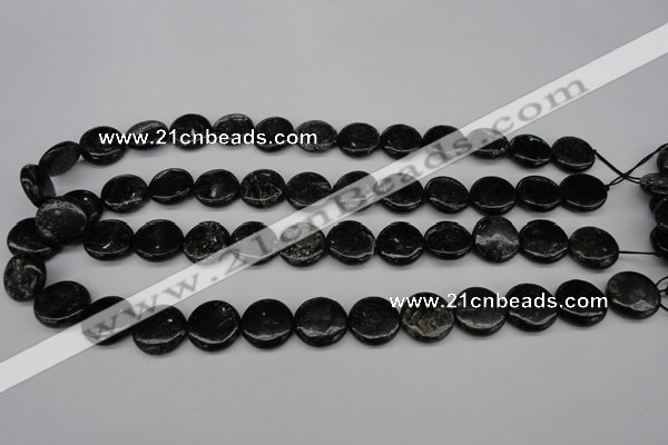 CAE46 15.5 inches 15mm flat round astrophyllite beads wholesale