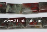 CAF01 15.5 inches 13*18mm rectangle African bloodstone beads