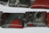 CAF02 15.5 inches 18*25mm rectangle African bloodstone beads