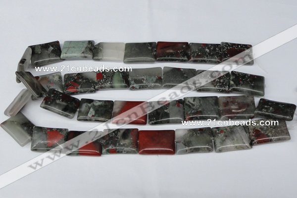 CAF02 15.5 inches 18*25mm rectangle African bloodstone beads