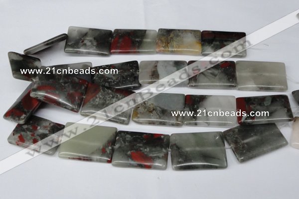 CAF03 15.5 inches 25*35mm rectangle African bloodstone beads