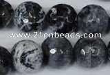 CAG1559 15.5 inches 16mm faceted round fire crackle agate beads