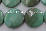 CAG1615 15.5 inches 25mm faceted coin green grass agate beads