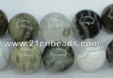 CAG1689 15.5 inches 14mm round ocean agate beads wholesale