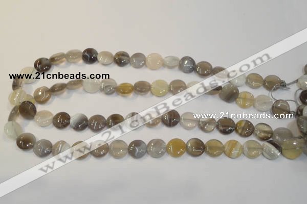 CAG2435 15.5 inches 12mm flat round Chinese botswana agate beads