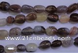 CAG2770 15.5 inches 6*8mm nuggets botswana agate beads wholesale