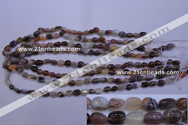 CAG2770 15.5 inches 6*8mm nuggets botswana agate beads wholesale