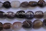 CAG2771 15.5 inches 8*12mm nuggets botswana agate beads wholesale