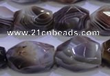 CAG2775 15.5 inches 14*20mm faceted nuggets botswana agate beads wholesale