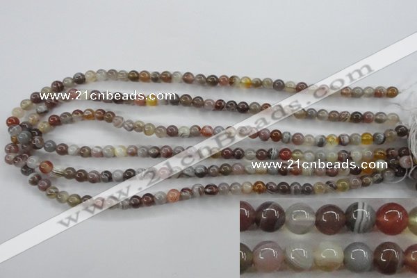 CAG3681 15.5 inches 6mm round botswana agate beads wholesale