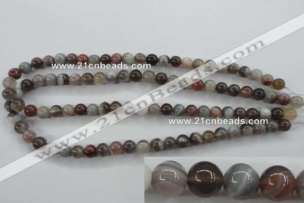 CAG3682 15.5 inches 8mm round botswana agate beads wholesale