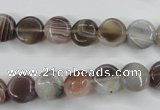 CAG3712 15.5 inches 10mm flat round botswana agate beads wholesale