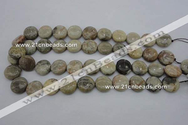 CAG3907 15.5 inches 18mm flat round chrysanthemum agate beads