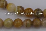 CAG4323 15.5 inches 10mm round botswana agate gemstone beads