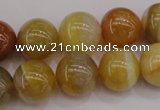 CAG4325 15.5 inches 14mm round botswana agate gemstone beads