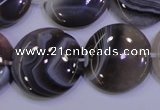 CAG4448 15.5 inches 25mm flat round botswana agate beads wholesale