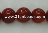 CAG446 15.5 inches 16mm round red agate gemstone beads wholesale