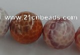 CAG5567 15.5 inches 18mm round natural fire agate beads wholesale