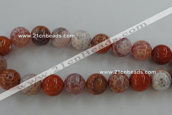 CAG5567 15.5 inches 18mm round natural fire agate beads wholesale