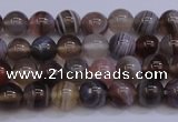 CAG5951 15.5 inches 6mm round botswana agate beads wholesale