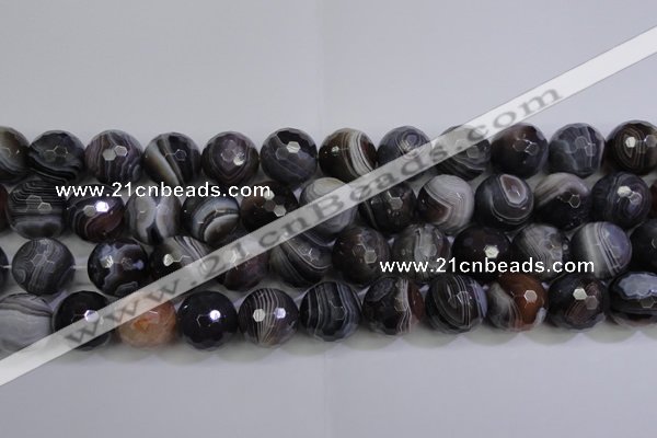 CAG5966 15.5 inches 18mm faceted round botswana agate beads wholesale