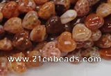 CAG627 15.5 inches 8*8mm heart natural fire agate beads wholesale