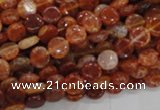 CAG629 15.5 inches 8mm coin natural fire agate beads wholesale