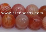 CAG6344 15 inches 12mm round red botswana agate beads wholesale