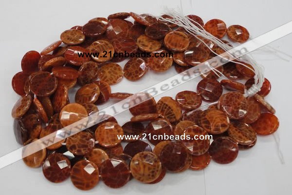 CAG639 15.5 inches 20mm faceted coin natural fire agate beads