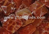 CAG651 15.5 inches 14*14mm faceted square natural fire agate beads