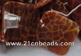 CAG657 15.5 inches 25*25mm faceted rhombic natural fire agate beads