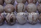 CAG6663 15.5 inches 10mm round Mexican crazy lace agate beads