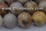 CAG6675 15.5 inches 14mm round natural crazy lace agate beads