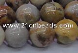 CAG6676 15.5 inches 16mm round natural crazy lace agate beads