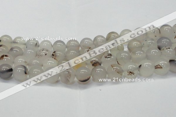 CAG6762 15 inches 10mm round Montana agate beads wholesale