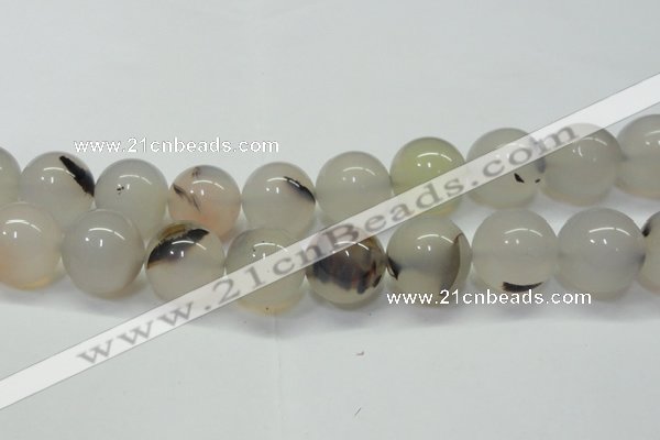 CAG6765 15 inches 16mm round Montana agate beads wholesale