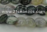 CAG6770 15.5 inches 12mm flat round Indian agate beads wholesale