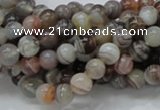 CAG735 15.5 inches 6mm round botswana agate beads wholesale