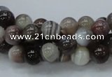 CAG736 15.5 inches 8mm round botswana agate beads wholesale