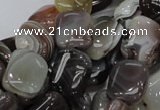 CAG737 15.5 inches 10*14mm rectangle botswana agate beads wholesale