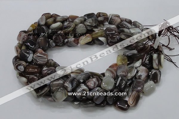 CAG737 15.5 inches 10*14mm rectangle botswana agate beads wholesale