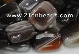 CAG739 15.5 inches 14*18mm rectangle botswana agate beads wholesale