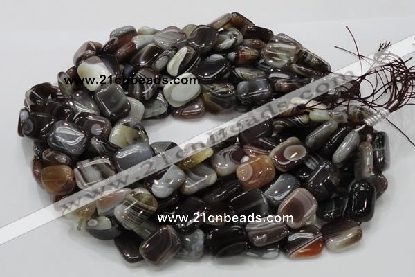 CAG739 15.5 inches 14*18mm rectangle botswana agate beads wholesale