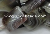 CAG740 15.5 inches 16*20mm rectangle botswana agate beads wholesale